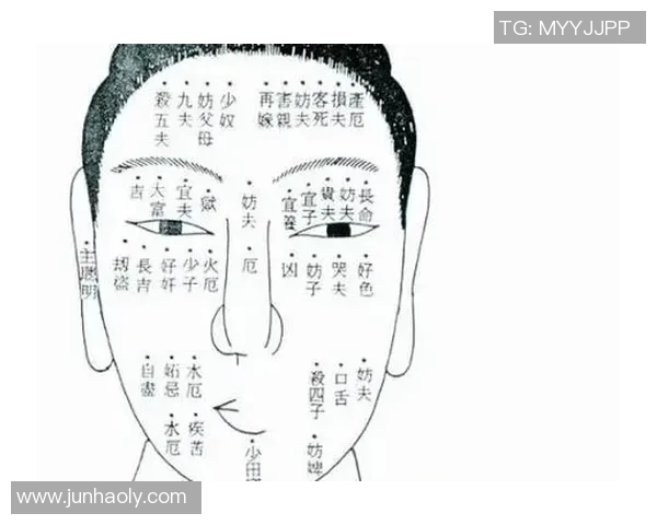 足球明星算命视频揭秘他们的未来与命运走向分析